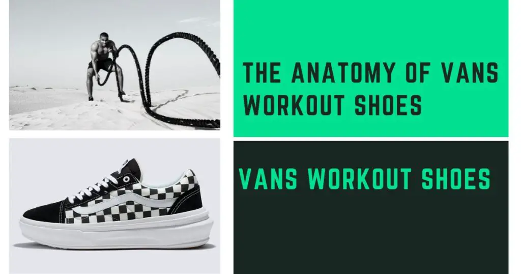 The Anatomy Of Vans Workout Shoes