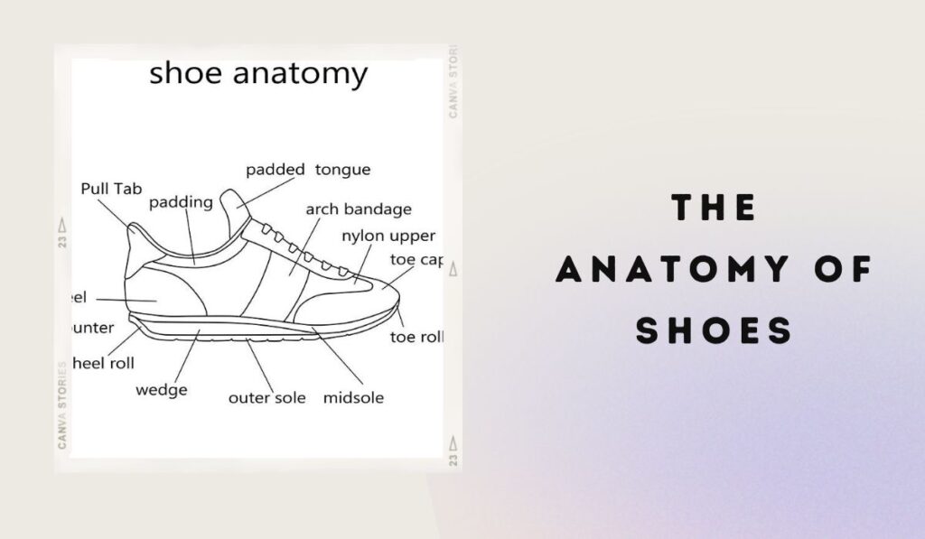 The Anatomy of Shoes