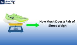 How Much Does a Pair of Shoes Weigh