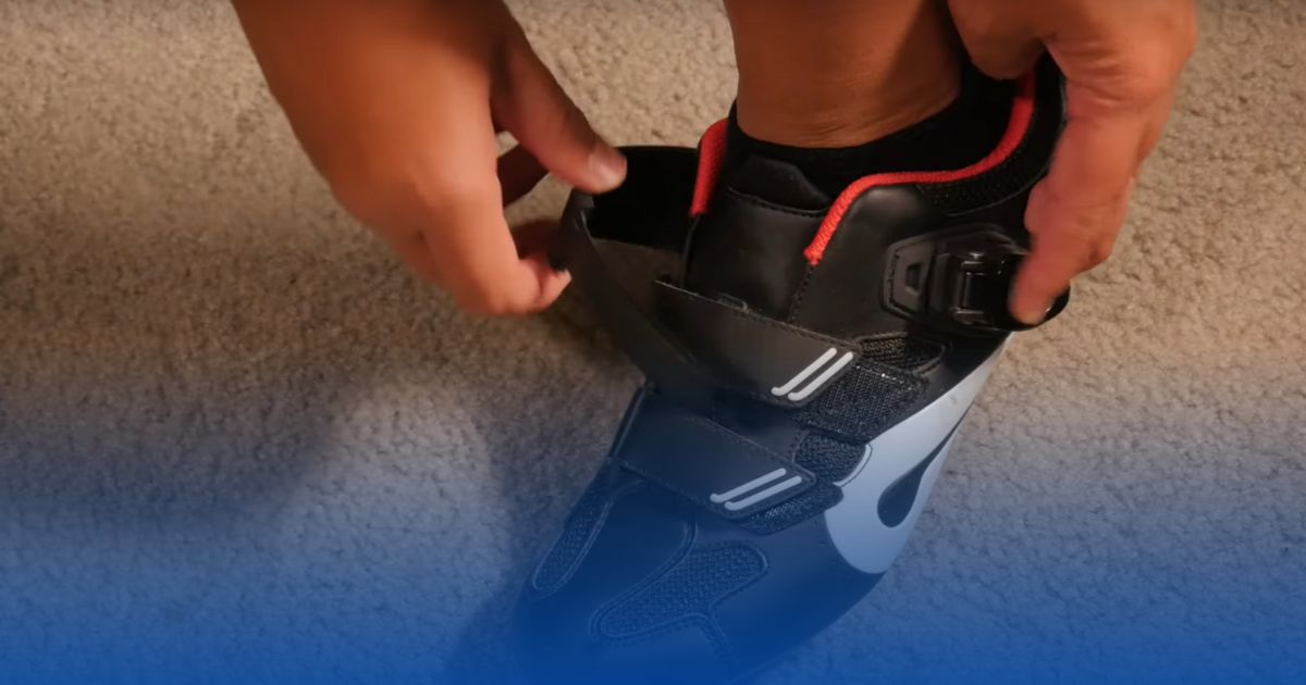 Petolon Shoe Size Chart Mastery for Happy Feet