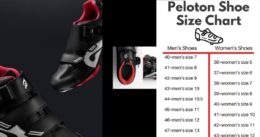 Petolon Shoe Size Chart